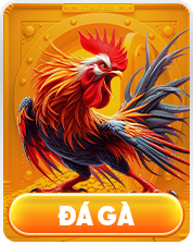 đá gà sc88
